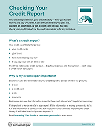 Checking Your Credit Report